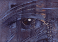 Rainer Hofmann-Battiston Auge