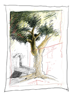 Rainer Hofmann-Battiston Baum