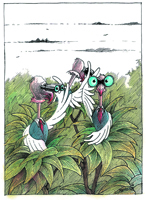 Rainer Hofmann-Battiston Wendedankfest Geier